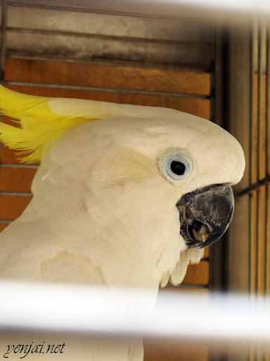 KL Bird Park