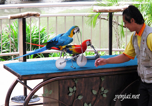 KL Bird Park