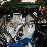 IMG_3507.JPG
