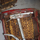 IMG_4747.JPG