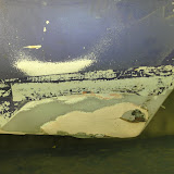 SANY0102.JPG
