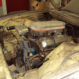DSC00099.JPG
