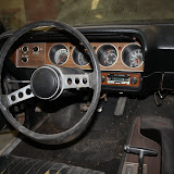 IMG_5572.JPG
