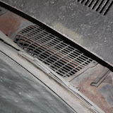 IMG_5586.JPG