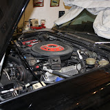 IMG_6604.JPG