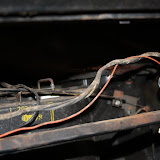 IMG_6324.JPG