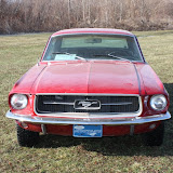 IMG_7293.JPG