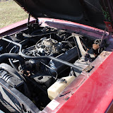 IMG_7299.JPG