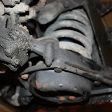 IMG_7825.JPG
