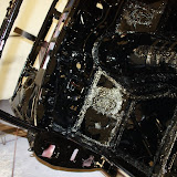 IMG_8006.JPG