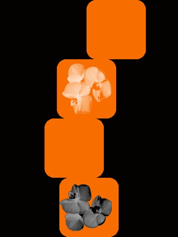 misirlou sheet music