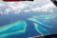 DSC_6893.JPG
