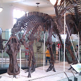 2010-02-27 15.55.00.jpg