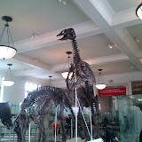 2010-02-27 15.55.06.jpg