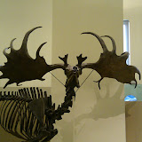 2010-02-27 16.12.07.jpg