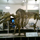 2010-02-27 16.13.07.jpg