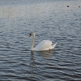 DSC_0204.JPG