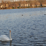 DSC_0205.JPG