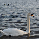 DSC_0186.JPG