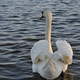 DSC_0188.JPG