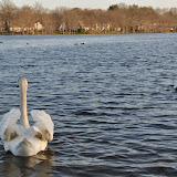 DSC_0190.JPG