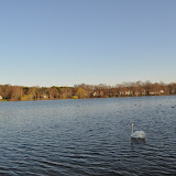 DSC_0200.JPG