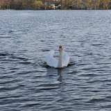 DSC_0121.JPG