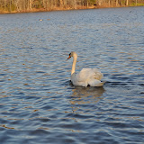 DSC_0130.JPG