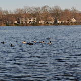 DSC_0131.JPG