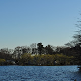 DSC_0136.JPG