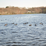 DSC_0142.JPG