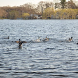 DSC_0143.JPG