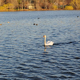 DSC_0152.JPG