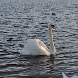 DSC_0172.JPG