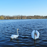 DSC_0179.JPG