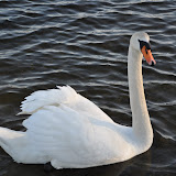 DSC_0220.JPG