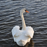 DSC_0225.JPG