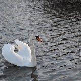 DSC_0232.JPG