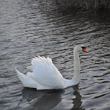 DSC_0234.JPG