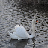 DSC_0236.JPG