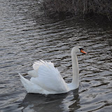 DSC_0237.JPG