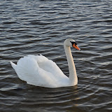 DSC_0256.JPG