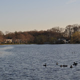 DSC_0257.JPG