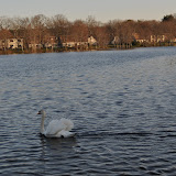 DSC_0270.JPG
