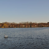 DSC_0272.JPG
