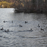 DSC_0277.JPG