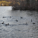 DSC_0278.JPG