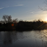 DSC_0286.JPG