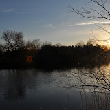 DSC_0293.JPG