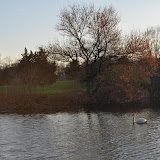 DSC_0306.JPG